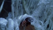 extant_StarTrek_ENT_1x22-VoxSola_3425.jpg