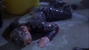 extant_StarTrek_ENT_1x22-VoxSola_3478.jpg
