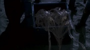 Filename=extant_StarTrek_ENT_1x22-VoxSola_3597.jpg
Filesize=119KiB
Dimensions=1920x1080
Date added=May 30, 2020 extant_StarTrek_ENT_1x22-VoxSola_3597.jpg