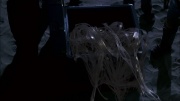 Filename=extant_StarTrek_ENT_1x22-VoxSola_3598.jpg
Filesize=116KiB
Dimensions=1920x1080
Date added=May 30, 2020 extant_StarTrek_ENT_1x22-VoxSola_3598.jpg