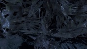 Filename=extant_StarTrek_ENT_1x22-VoxSola_3605.jpg
Filesize=212KiB
Dimensions=1920x1080
Date added=May 30, 2020 extant_StarTrek_ENT_1x22-VoxSola_3605.jpg