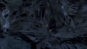 Filename=extant_StarTrek_ENT_1x22-VoxSola_3606.jpg
Filesize=210KiB
Dimensions=1920x1080
Date added=May 30, 2020 extant_StarTrek_ENT_1x22-VoxSola_3606.jpg
