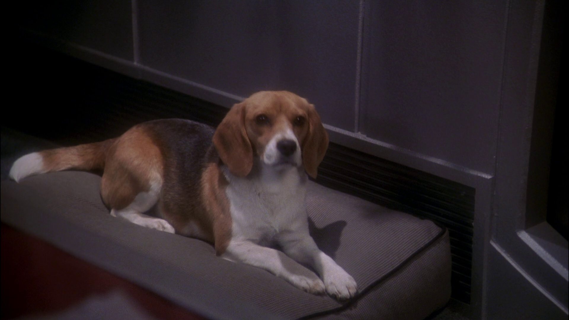extant_StarTrek_ENT_1x24-DesertCrossing_0070.jpg