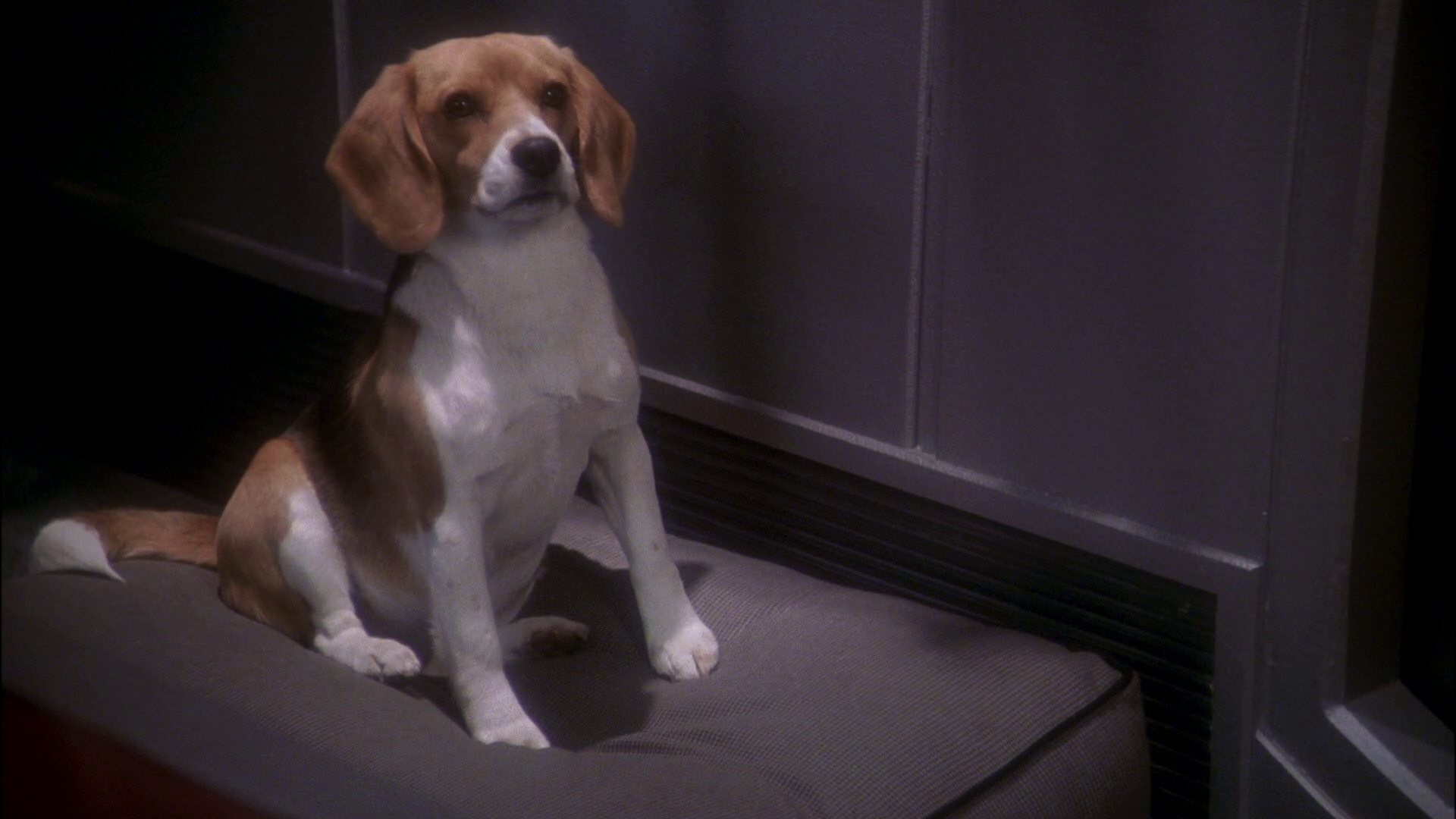 extant_StarTrek_ENT_1x24-DesertCrossing_0072.jpg