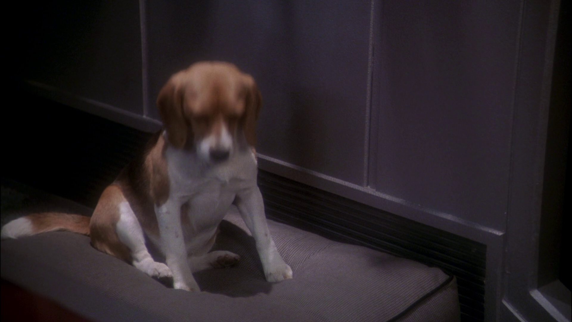 extant_StarTrek_ENT_1x24-DesertCrossing_0078.jpg
