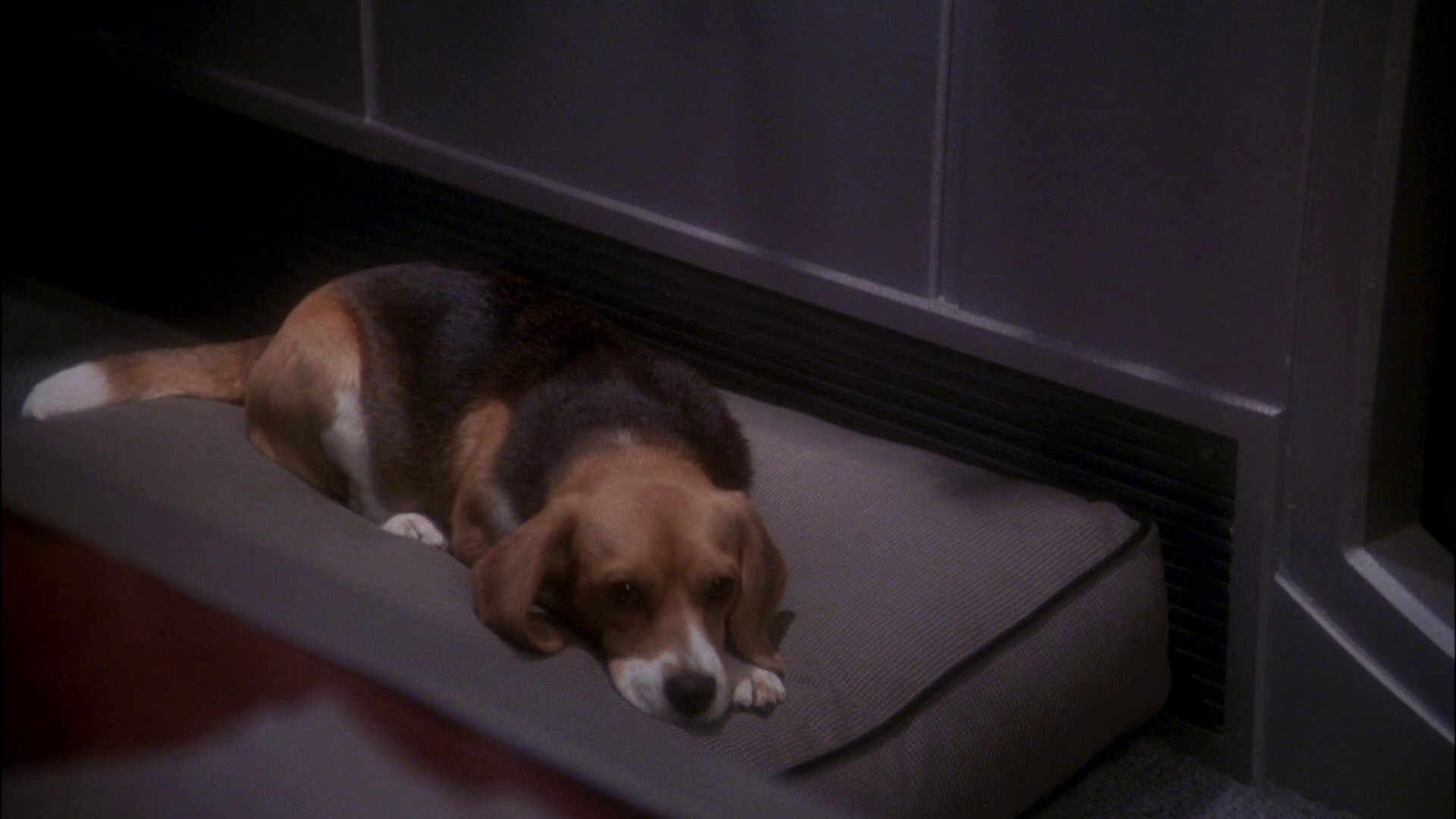 extant_StarTrek_ENT_1x24-DesertCrossing_0080.jpg