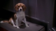 Filename=extant_StarTrek_ENT_1x24-DesertCrossing_0077.jpg
Filesize=161KiB
Dimensions=1920x1080
Date added=May 30, 2020 extant_StarTrek_ENT_1x24-DesertCrossing_0077.jpg
