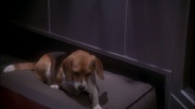 extant_StarTrek_ENT_1x24-DesertCrossing_0079.jpg