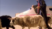 Filename=extant_StarTrek_ENT_1x24-DesertCrossing_0514.jpg
Filesize=209KiB
Dimensions=1920x1080
Date added=May 30, 2020 extant_StarTrek_ENT_1x24-DesertCrossing_0514.jpg