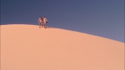 Filename=extant_StarTrek_ENT_1x24-DesertCrossing_2029.jpg
Filesize=274KiB
Dimensions=1920x1080
Date added=May 30, 2020 extant_StarTrek_ENT_1x24-DesertCrossing_2029.jpg