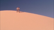 Filename=extant_StarTrek_ENT_1x24-DesertCrossing_2031.jpg
Filesize=249KiB
Dimensions=1920x1080
Date added=May 30, 2020 extant_StarTrek_ENT_1x24-DesertCrossing_2031.jpg