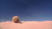 Filename=extant_StarTrek_ENT_1x24-DesertCrossing_2178.jpg
Filesize=144KiB
Dimensions=1920x1080
Date added=May 30, 2020 extant_StarTrek_ENT_1x24-DesertCrossing_2178.jpg