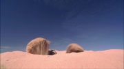 Filename=extant_StarTrek_ENT_1x24-DesertCrossing_2182.jpg
Filesize=139KiB
Dimensions=1920x1080
Date added=May 30, 2020 extant_StarTrek_ENT_1x24-DesertCrossing_2182.jpg