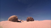 Filename=extant_StarTrek_ENT_1x24-DesertCrossing_2183.jpg
Filesize=147KiB
Dimensions=1920x1080
Date added=May 30, 2020 extant_StarTrek_ENT_1x24-DesertCrossing_2183.jpg