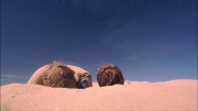Filename=extant_StarTrek_ENT_1x24-DesertCrossing_2186.jpg
Filesize=149KiB
Dimensions=1920x1080
Date added=May 30, 2020 extant_StarTrek_ENT_1x24-DesertCrossing_2186.jpg