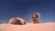Filename=extant_StarTrek_ENT_1x24-DesertCrossing_2187.jpg
Filesize=148KiB
Dimensions=1920x1080
Date added=May 30, 2020 extant_StarTrek_ENT_1x24-DesertCrossing_2187.jpg