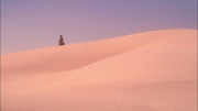 extant_StarTrek_ENT_1x24-DesertCrossing_2299.jpg