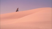 extant_StarTrek_ENT_1x24-DesertCrossing_2302.jpg