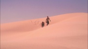 extant_StarTrek_ENT_1x24-DesertCrossing_2315.jpg