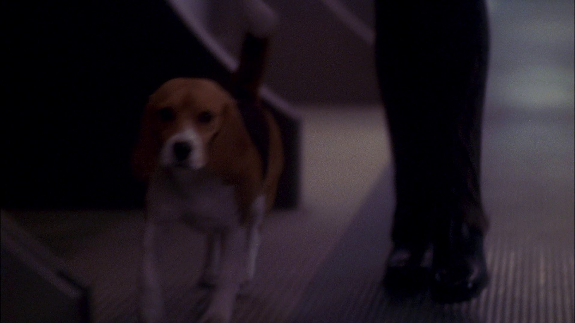 extant_StarTrek_ENT_1x25-TwoDaysAndTwoNights_0032.jpg