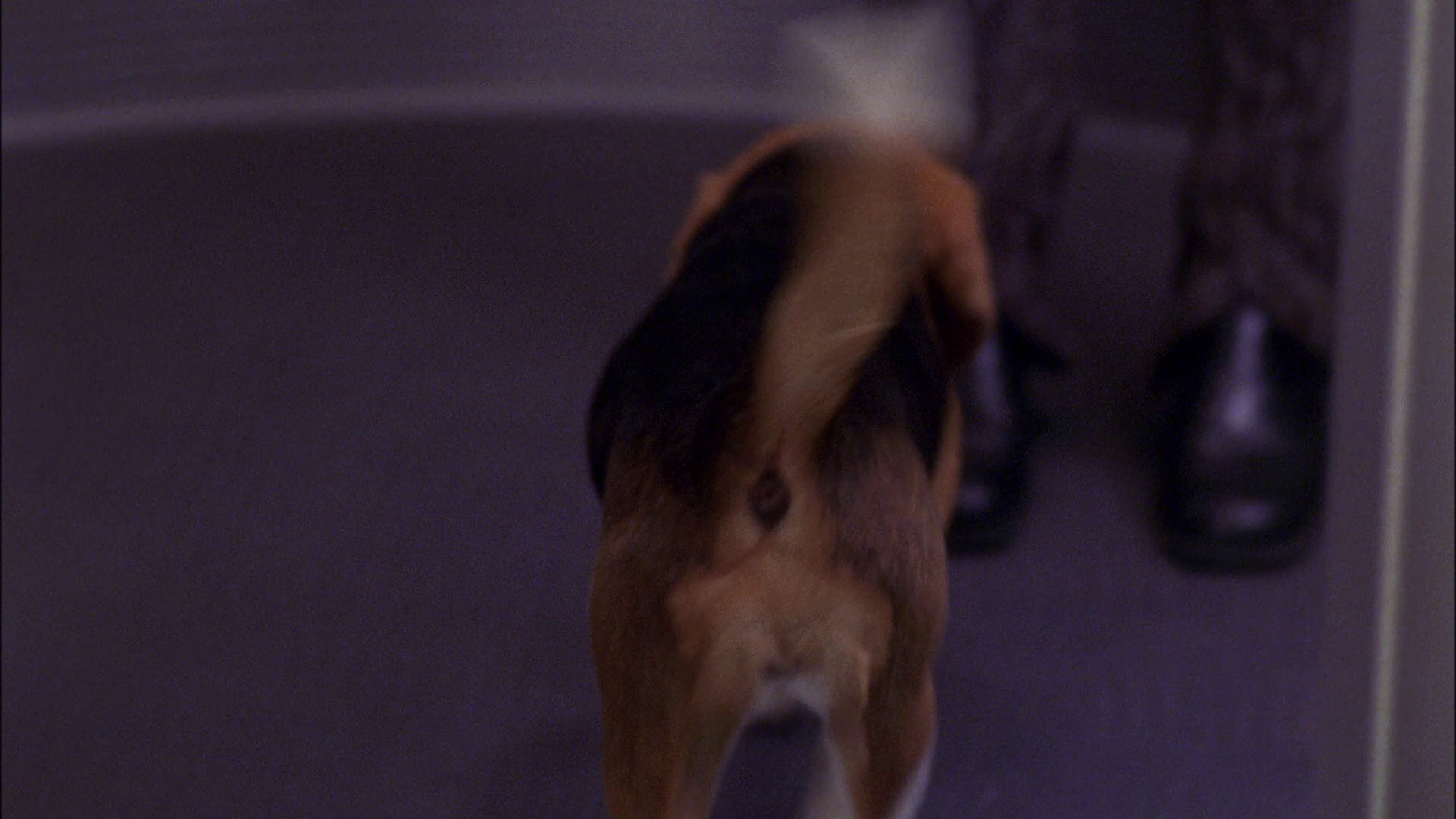 extant_StarTrek_ENT_1x25-TwoDaysAndTwoNights_0083.jpg