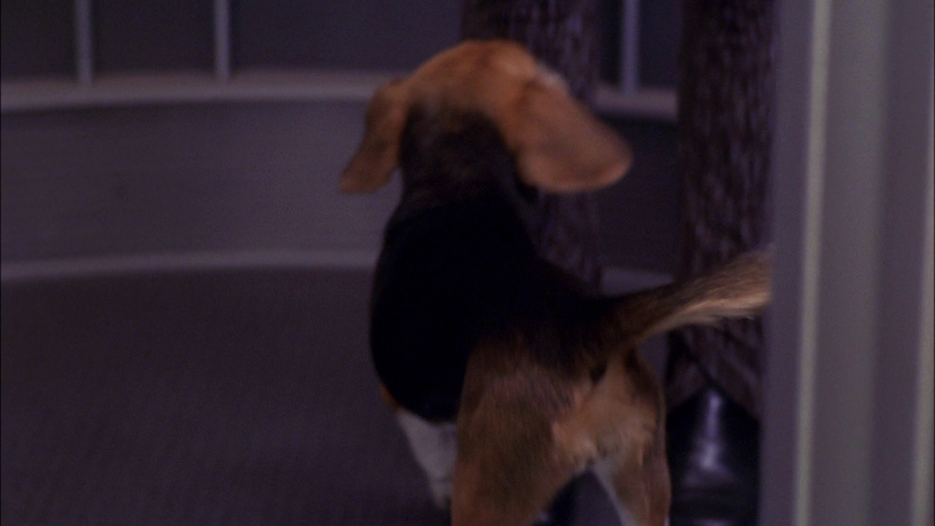 extant_StarTrek_ENT_1x25-TwoDaysAndTwoNights_0084.jpg
