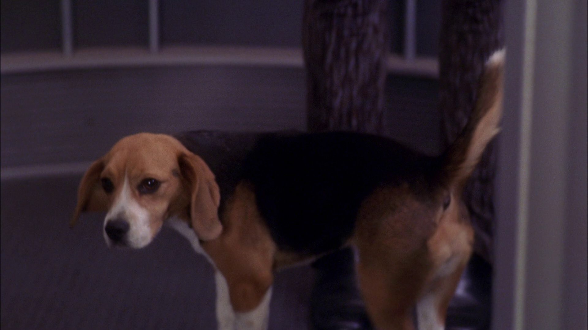 extant_StarTrek_ENT_1x25-TwoDaysAndTwoNights_0085.jpg
