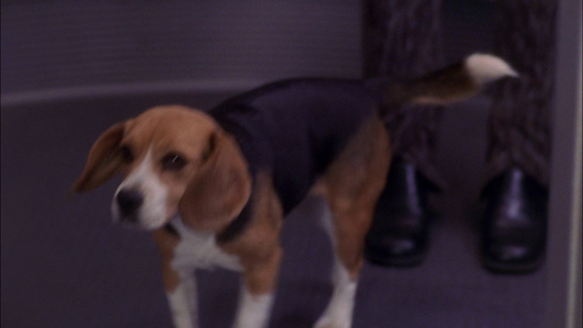 extant_StarTrek_ENT_1x25-TwoDaysAndTwoNights_0086.jpg