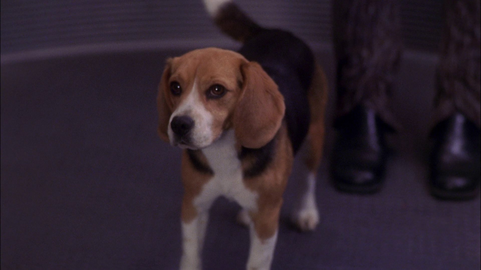 extant_StarTrek_ENT_1x25-TwoDaysAndTwoNights_0087.jpg