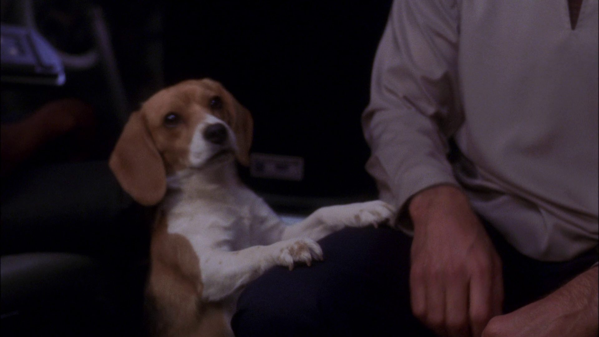 extant_StarTrek_ENT_1x25-TwoDaysAndTwoNights_0389.jpg