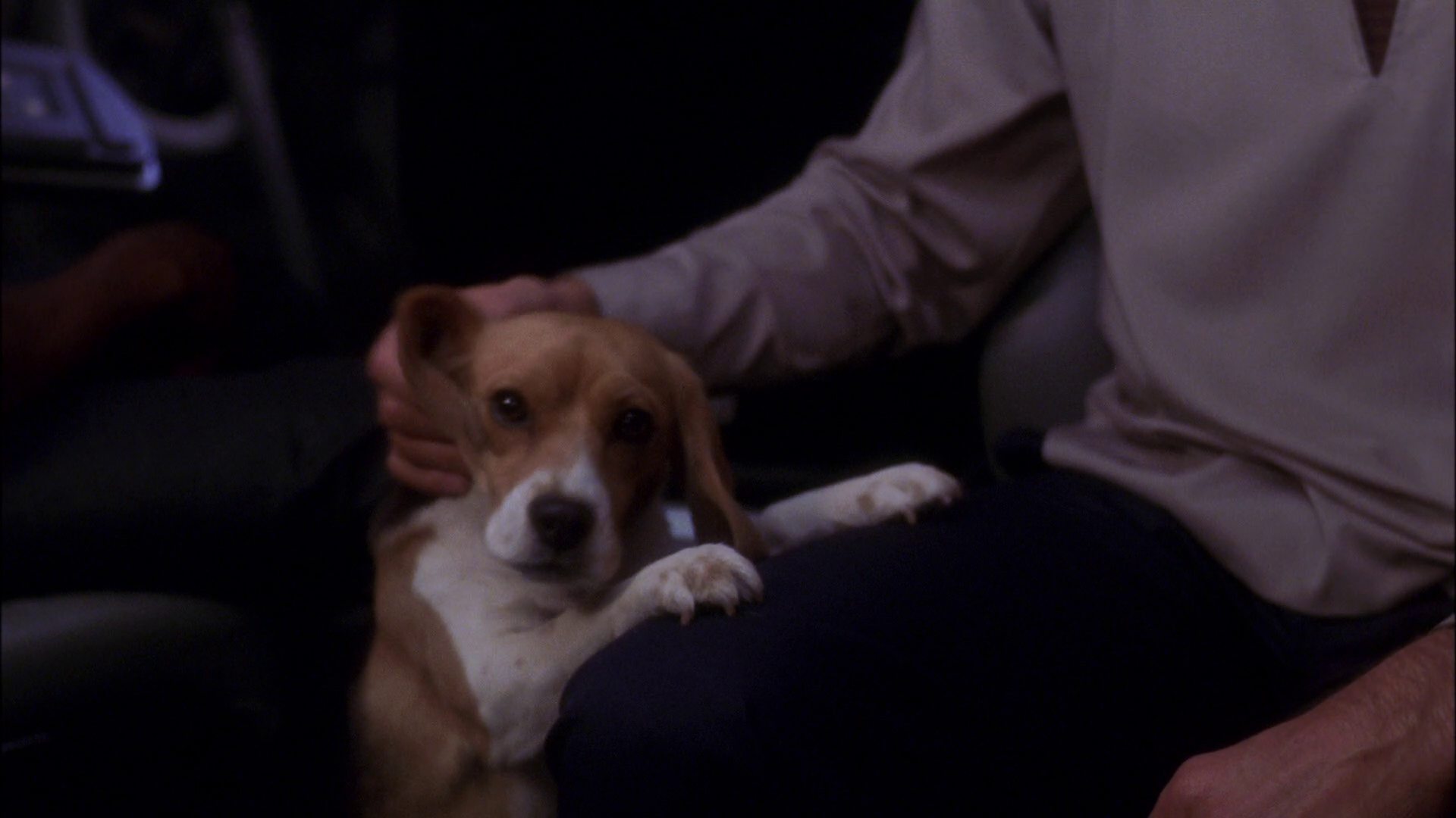 extant_StarTrek_ENT_1x25-TwoDaysAndTwoNights_0391.jpg