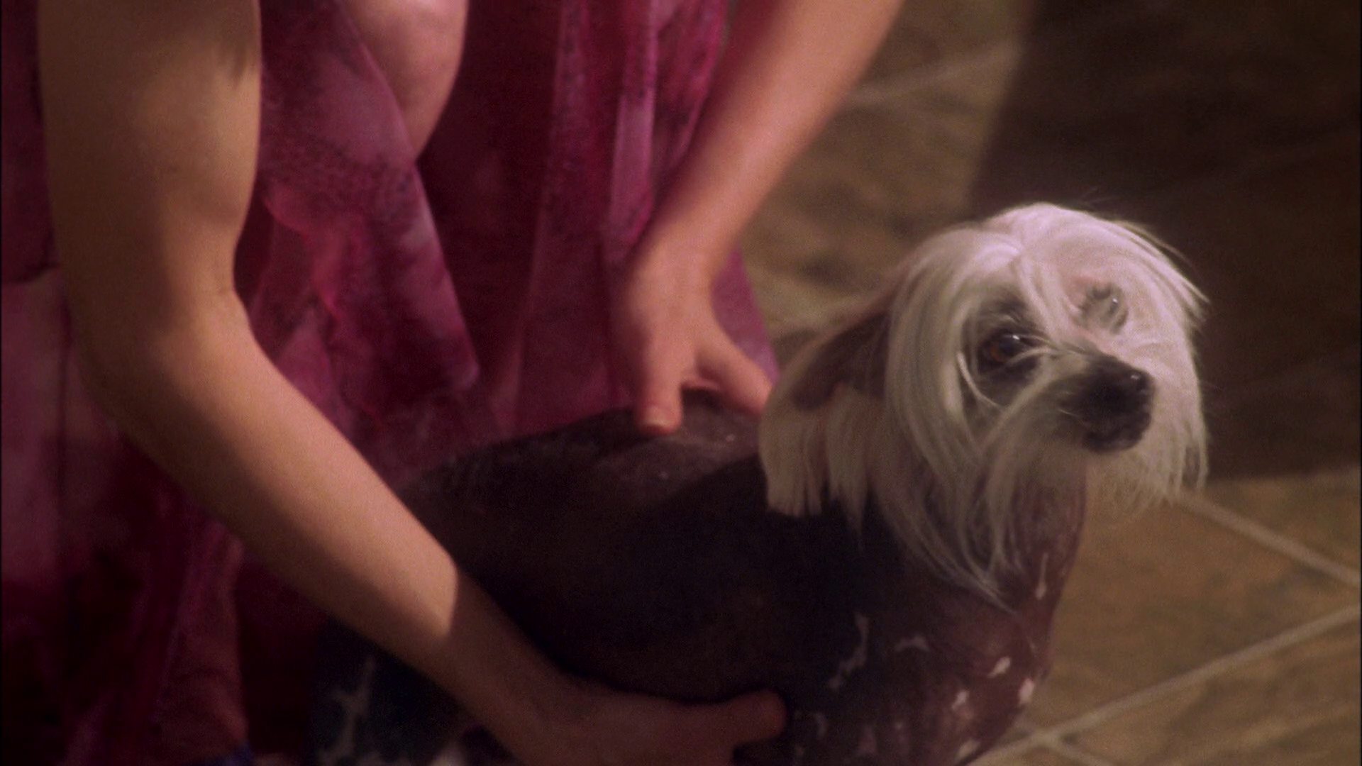 extant_StarTrek_ENT_1x25-TwoDaysAndTwoNights_0603.jpg