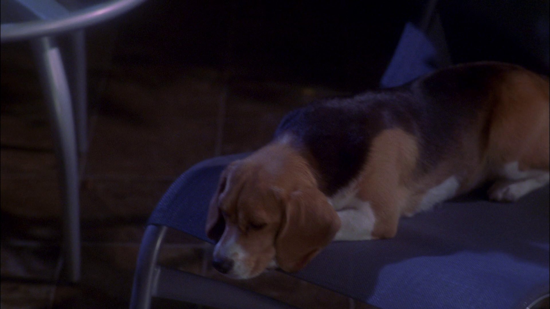 extant_StarTrek_ENT_1x25-TwoDaysAndTwoNights_0731.jpg