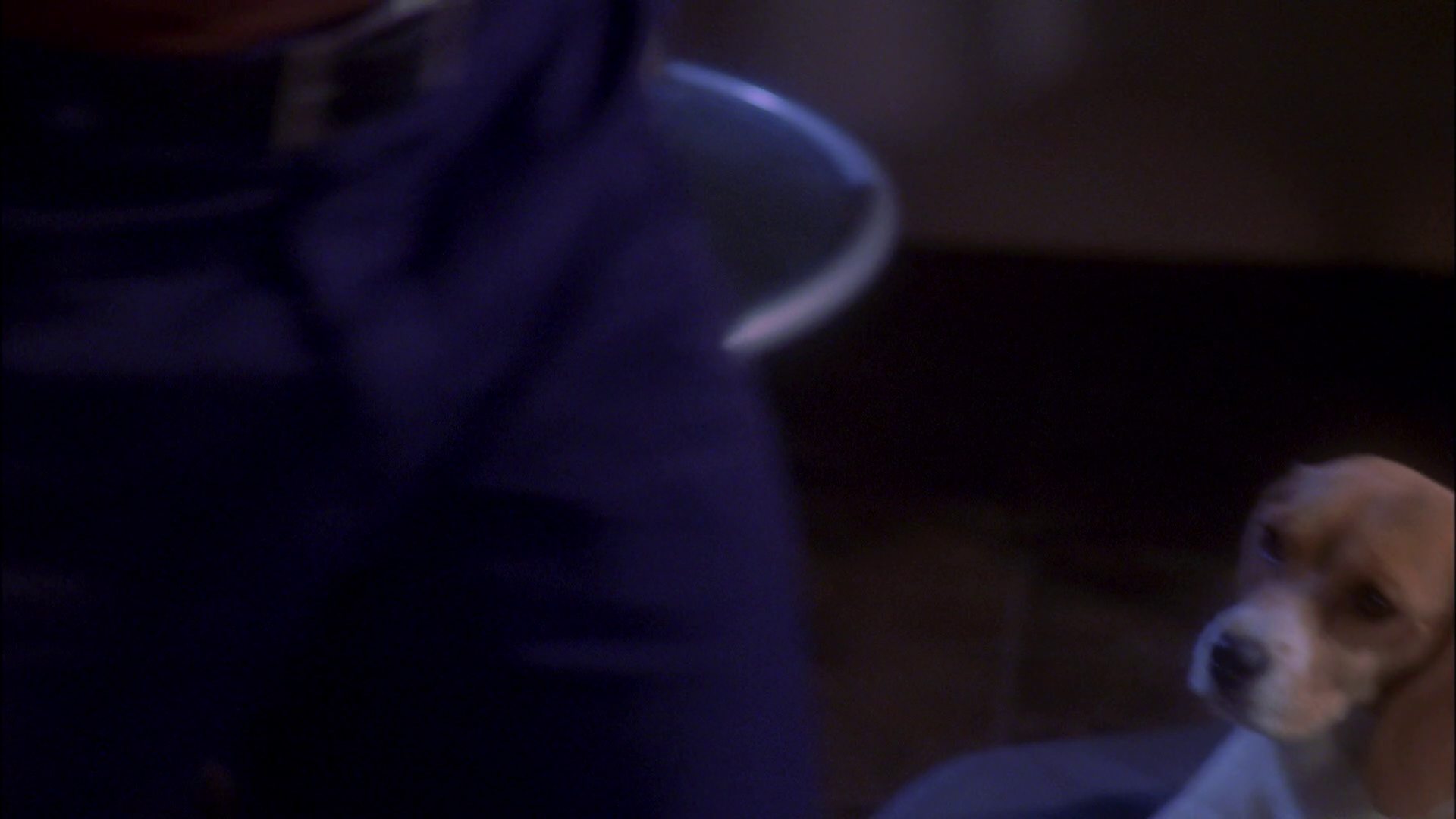 extant_StarTrek_ENT_1x25-TwoDaysAndTwoNights_0745.jpg