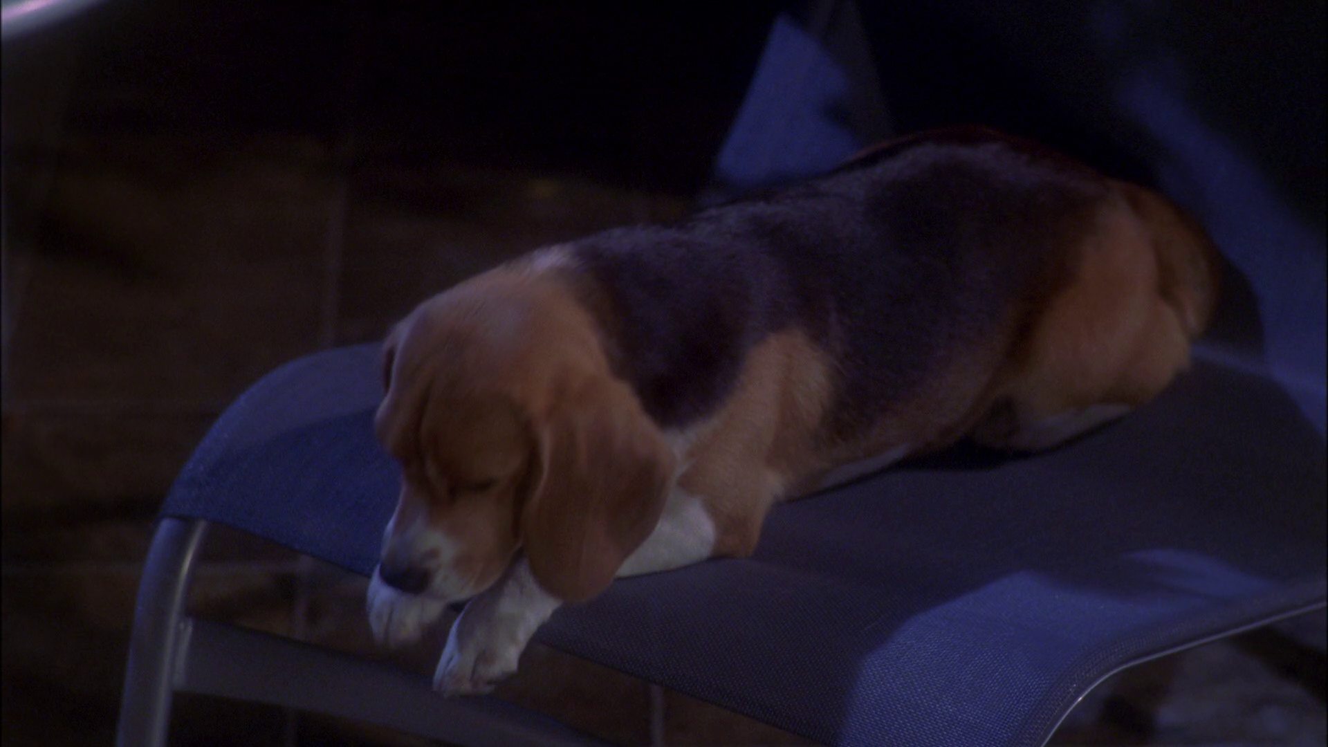 extant_StarTrek_ENT_1x25-TwoDaysAndTwoNights_0748.jpg