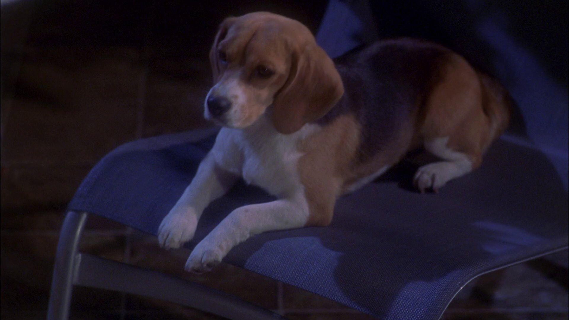 extant_StarTrek_ENT_1x25-TwoDaysAndTwoNights_0752.jpg