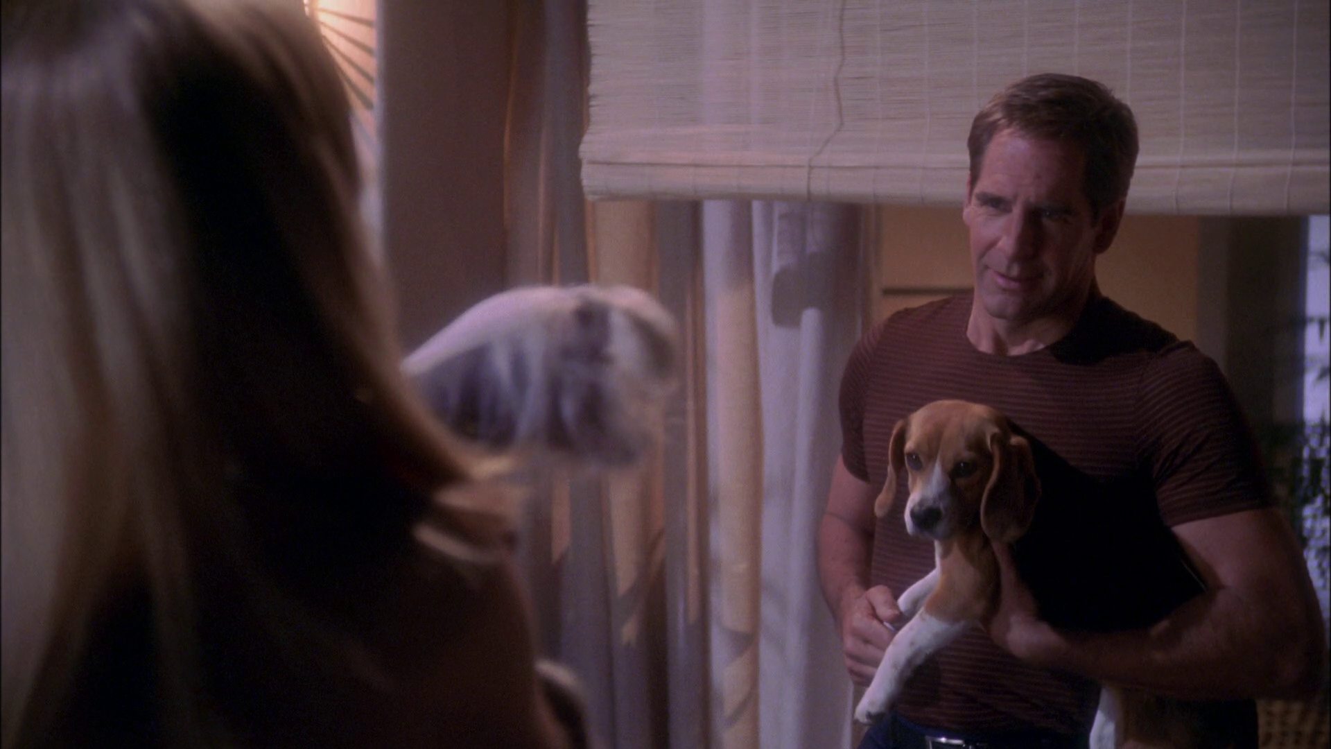 extant_StarTrek_ENT_1x25-TwoDaysAndTwoNights_0834.jpg