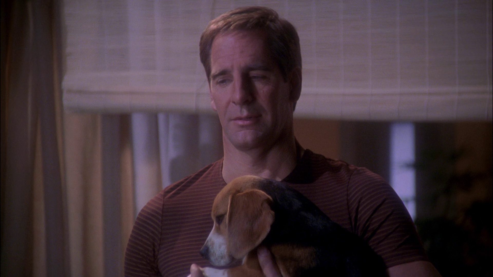 extant_StarTrek_ENT_1x25-TwoDaysAndTwoNights_0911.jpg