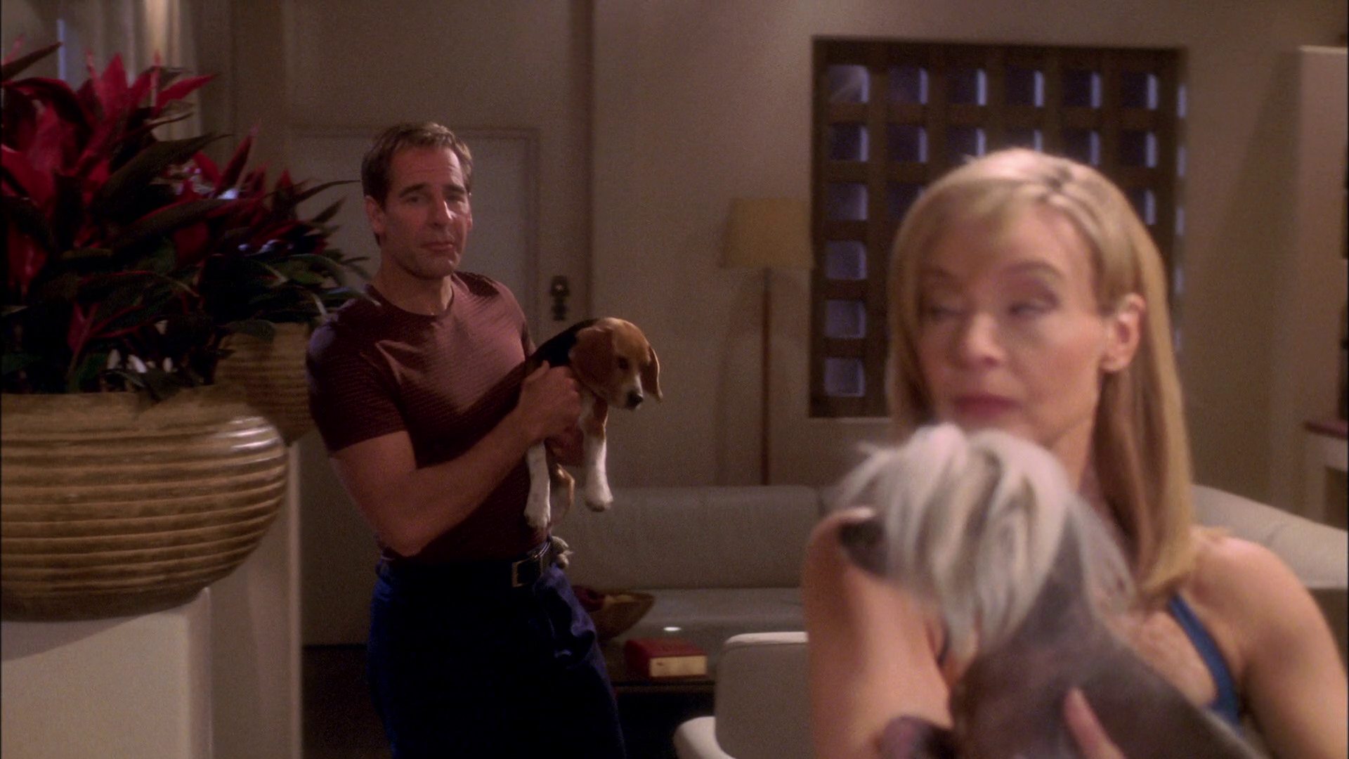 extant_StarTrek_ENT_1x25-TwoDaysAndTwoNights_0933.jpg