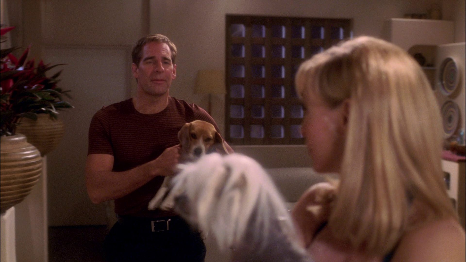 extant_StarTrek_ENT_1x25-TwoDaysAndTwoNights_0934.jpg