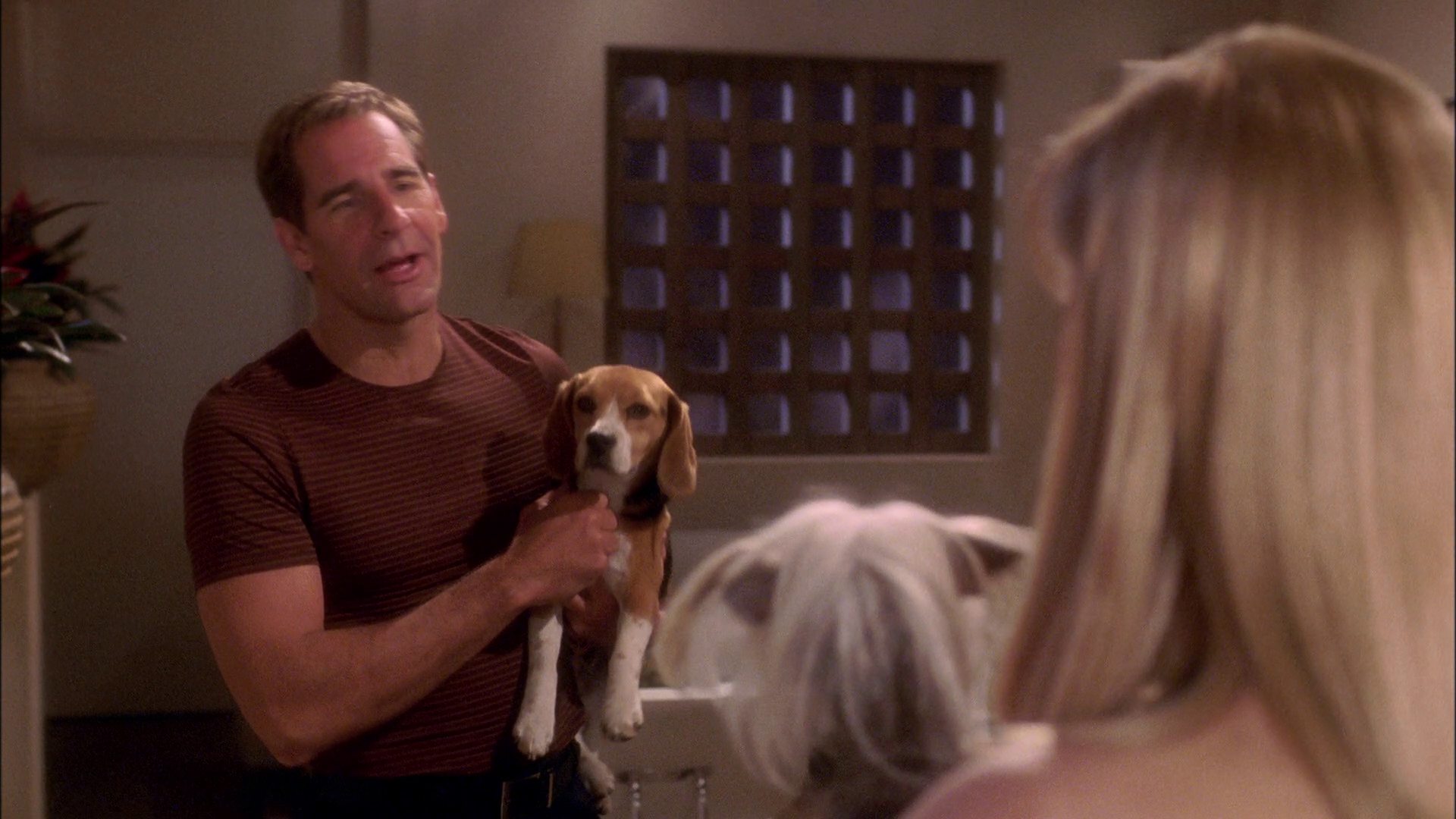 extant_StarTrek_ENT_1x25-TwoDaysAndTwoNights_0935.jpg