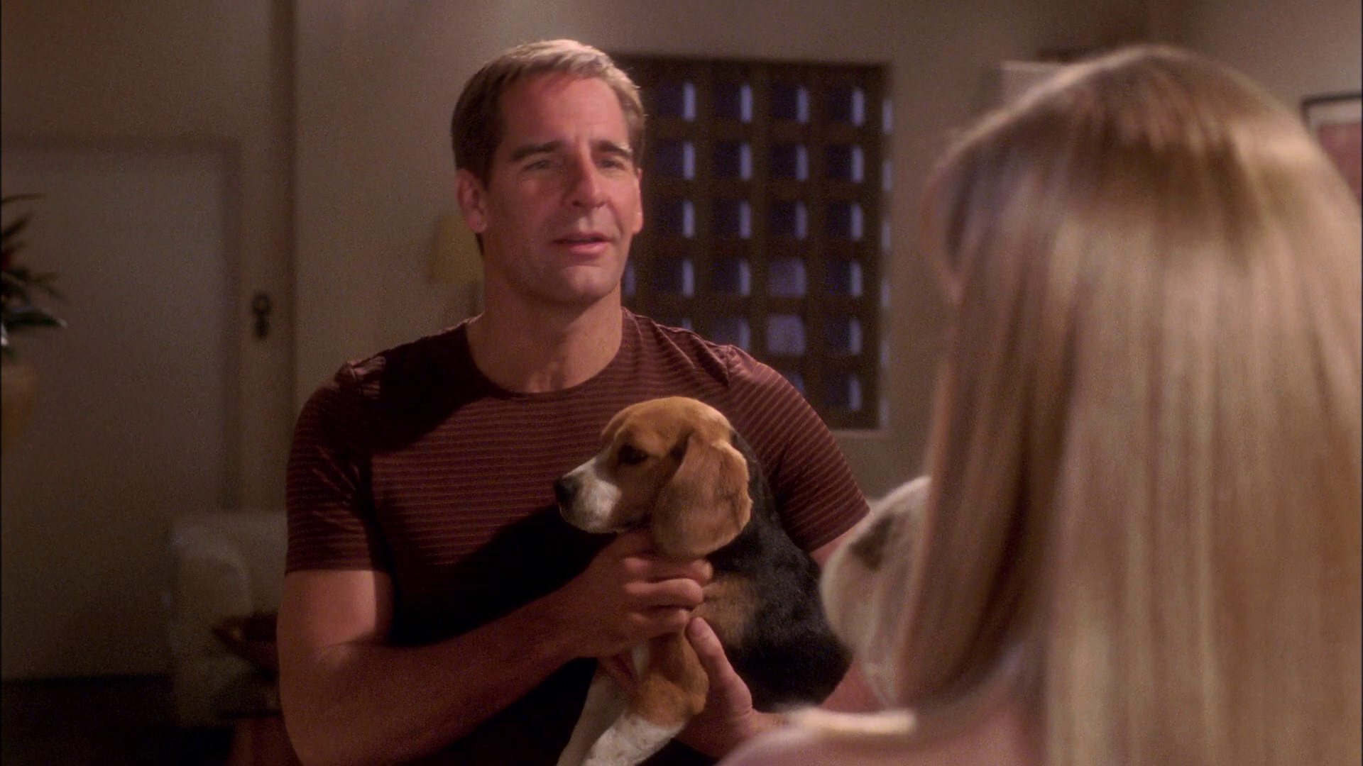 extant_StarTrek_ENT_1x25-TwoDaysAndTwoNights_0937.jpg