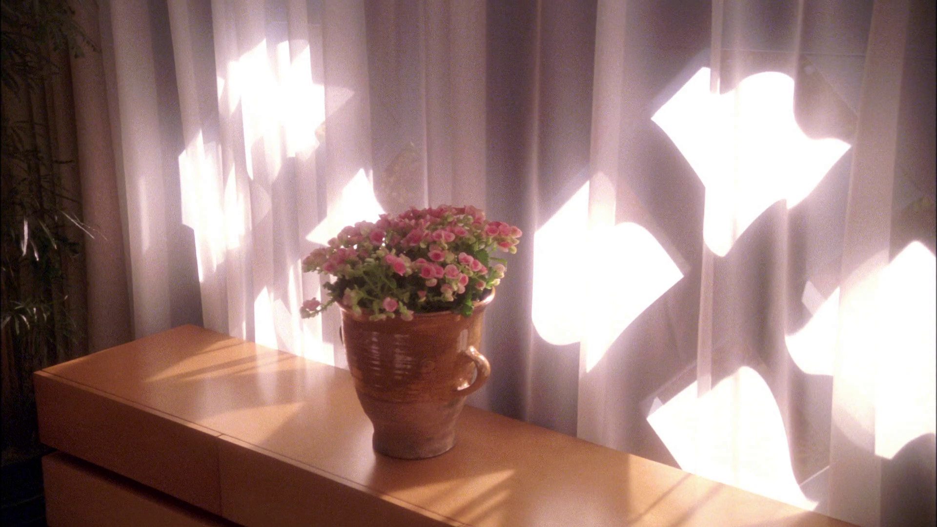extant_StarTrek_ENT_1x25-TwoDaysAndTwoNights_3299.jpg