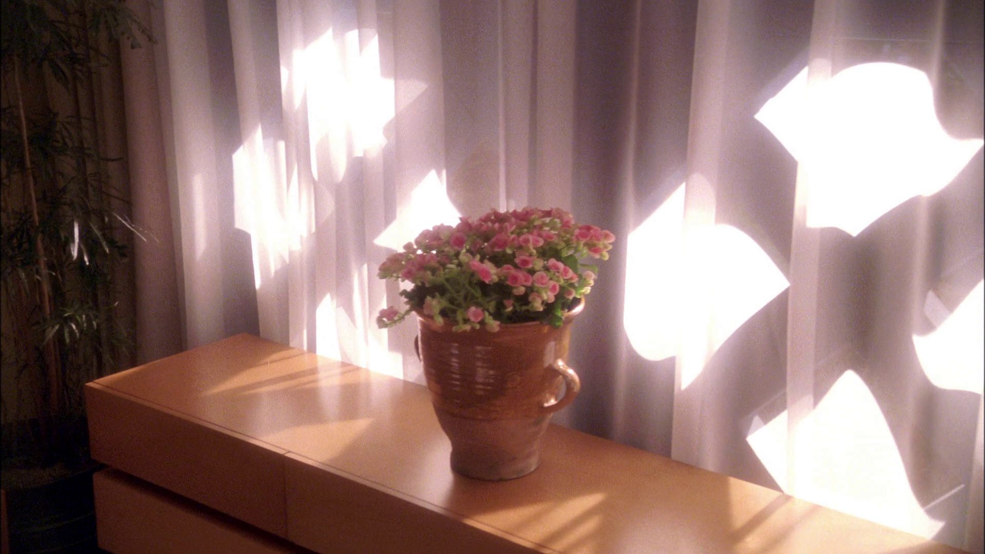 extant_StarTrek_ENT_1x25-TwoDaysAndTwoNights_3300.jpg