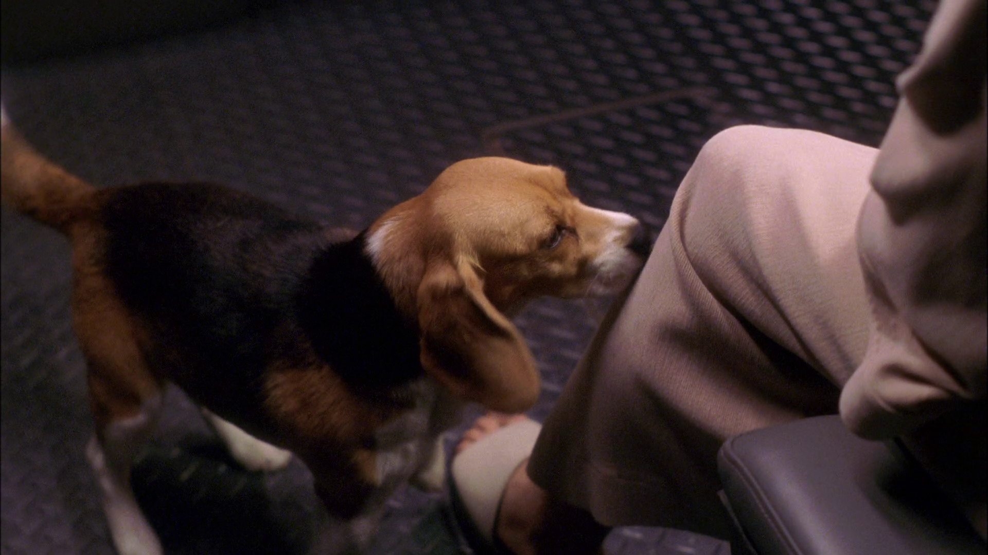 extant_StarTrek_ENT_1x25-TwoDaysAndTwoNights_3596.jpg