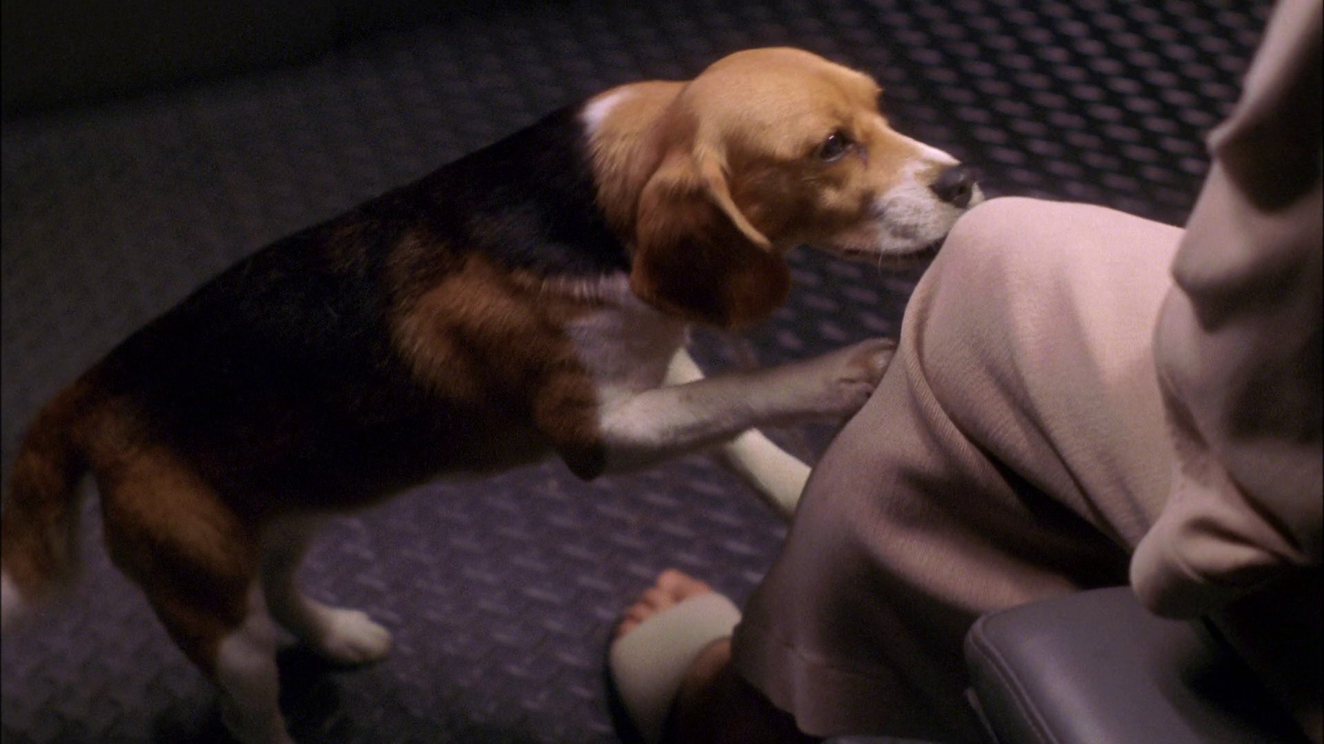 extant_StarTrek_ENT_1x25-TwoDaysAndTwoNights_3597.jpg