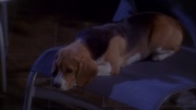 Filename=extant_StarTrek_ENT_1x25-TwoDaysAndTwoNights_0730.jpg
Filesize=151KiB
Dimensions=1920x1080
Date added=May 30, 2020 extant_StarTrek_ENT_1x25-TwoDaysAndTwoNights_0730.jpg