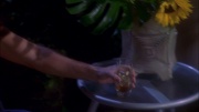 Filename=extant_StarTrek_ENT_1x25-TwoDaysAndTwoNights_0734.jpg
Filesize=118KiB
Dimensions=1920x1080
Date added=May 30, 2020 extant_StarTrek_ENT_1x25-TwoDaysAndTwoNights_0734.jpg