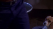 Filename=extant_StarTrek_ENT_1x25-TwoDaysAndTwoNights_0745.jpg
Filesize=101KiB
Dimensions=1920x1080
Date added=May 30, 2020 extant_StarTrek_ENT_1x25-TwoDaysAndTwoNights_0745.jpg