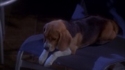Filename=extant_StarTrek_ENT_1x25-TwoDaysAndTwoNights_0747.jpg
Filesize=145KiB
Dimensions=1920x1080
Date added=May 30, 2020 extant_StarTrek_ENT_1x25-TwoDaysAndTwoNights_0747.jpg
